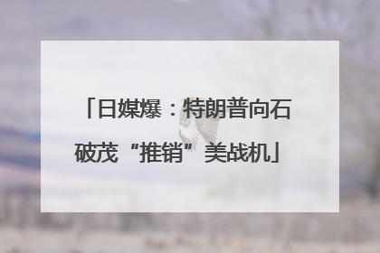 日媒爆：特朗普向石破茂“推销”美战机