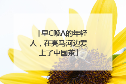 早C晚A的年轻人，在亮马河边爱上了中国茶