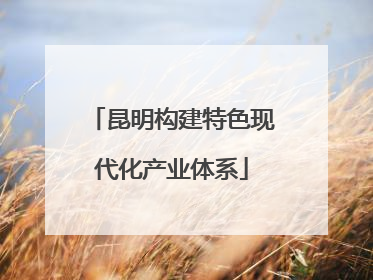 昆明构建特色现代化产业体系