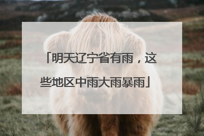 明天辽宁省有雨，这些地区中雨大雨暴雨