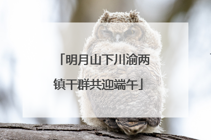 明月山下川渝两镇干群共迎端午