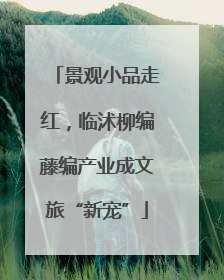 景观小品走红，临沭柳编藤编产业成文旅“新宠”