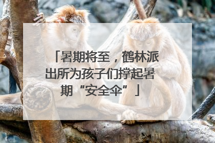 暑期将至，鹤林派出所为孩子们撑起暑期“安全伞”