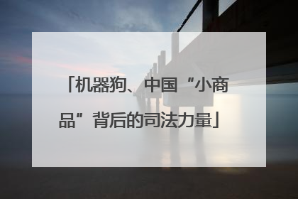机器狗、中国“小商品”背后的司法力量