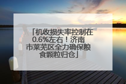 机收损失率控制在0.6%左右！济南市莱芜区全力确保粮食颗粒归仓