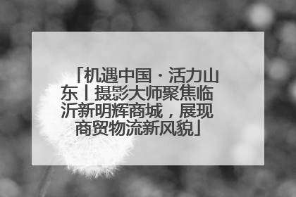 机遇中国・活力山东丨摄影大师聚焦临沂新明辉商城，展现商贸物流新风貌