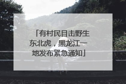 有村民目击野生东北虎，黑龙江一地发布紧急通知
