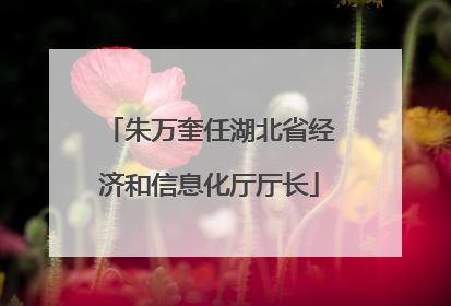 朱万奎任湖北省经济和信息化厅厅长
