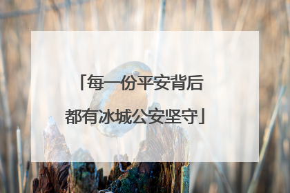 每一份平安背后 都有冰城公安坚守