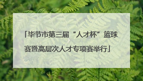 毕节市第三届“人才杯”篮球赛暨高层次人才专项赛举行