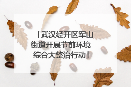 武汉经开区军山街道开展节前环境综合大整治行动