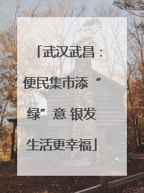武汉武昌：便民集市添“绿”意 银发生活更幸福