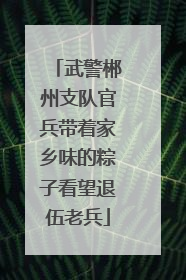 武警郴州支队官兵带着家乡味的粽子看望退伍老兵