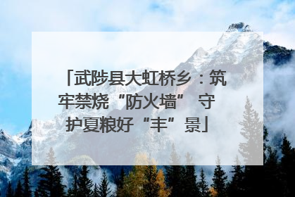 武陟县大虹桥乡：筑牢禁烧“防火墙” 守护夏粮好“丰”景