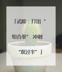 武陟：打出“组合拳” 冲刺“双过半”