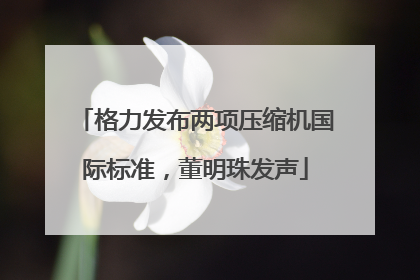 格力发布两项压缩机国际标准，董明珠发声