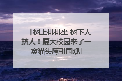 树上排排坐 树下人挤人！厦大校园来了一窝猫头鹰引围观