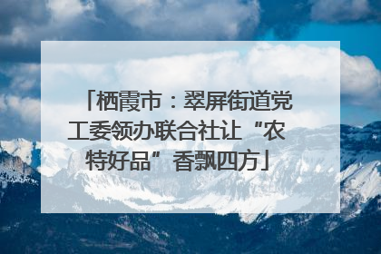 栖霞市：翠屏街道党工委领办联合社让“农特好品”香飘四方