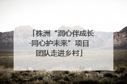 株洲“润心伴成长·同心护未来”项目团队走进乡村
