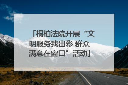 桐柏法院开展“文明服务我出彩 群众满意在窗口”活动