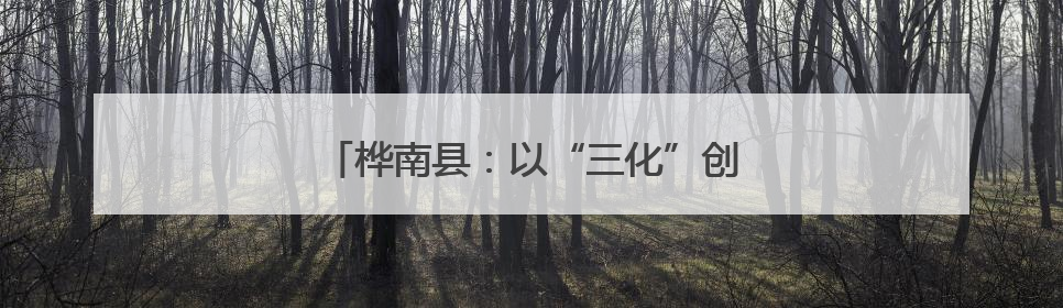桦南县：以“三化”创新驱动基层治理现代化