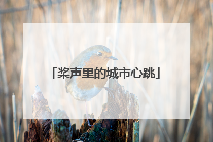 桨声里的城市心跳