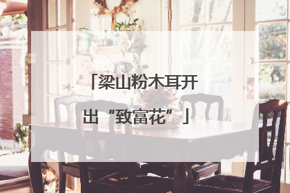 梁山粉木耳开出“致富花”