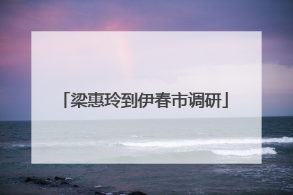 梁惠玲到伊春市调研