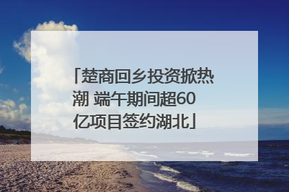 楚商回乡投资掀热潮 端午期间超60亿项目签约湖北