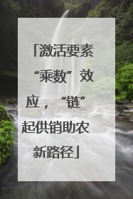 激活要素“乘数”效应,“链”起供销助农新路径