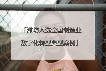 潍坊入选全国制造业数字化转型典型案例