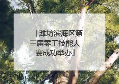 潍坊滨海区第三届零工技能大赛成功举办