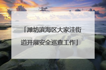 潍坊滨海区大家洼街道开展安全巡查工作