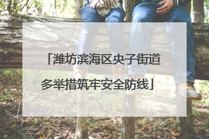 潍坊滨海区央子街道多举措筑牢安全防线