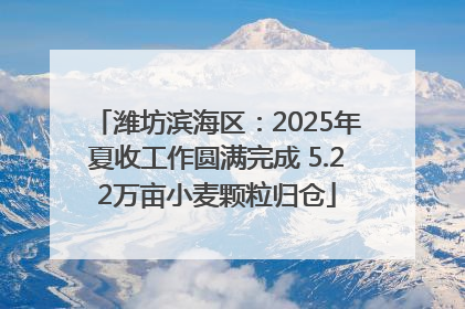 潍坊滨海区：2025年夏收工作圆满完成 5.22万亩小麦颗粒归仓