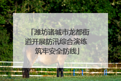 潍坊诸城市龙都街道开展防汛综合演练 筑牢安全防线