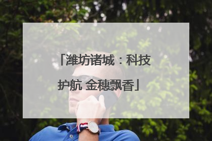 潍坊诸城：科技护航 金穗飘香