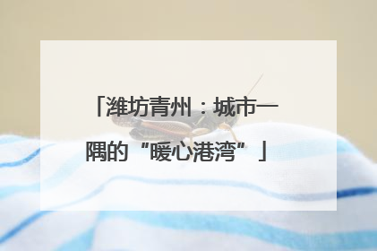潍坊青州：城市一隅的“暖心港湾”