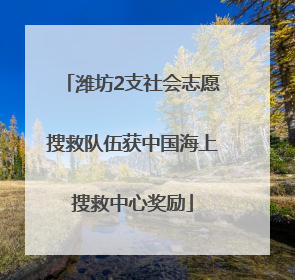 潍坊2支社会志愿搜救队伍获中国海上搜救中心奖励