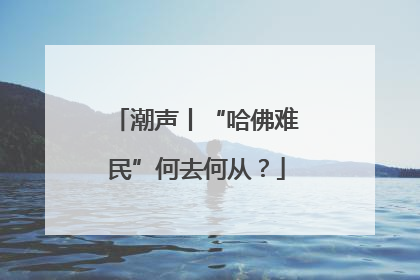 潮声丨“哈佛难民”何去何从？