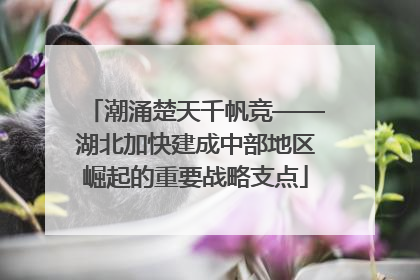 潮涌楚天千帆竞——湖北加快建成中部地区崛起的重要战略支点