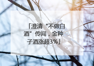 澄清“不做白酒”传闻，金种子酒涨超3%