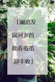 澜沧发展河乡首批春蚕茧迎丰收