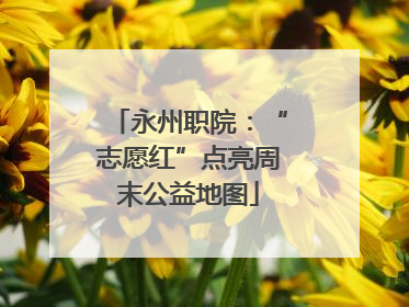 永州职院：“志愿红”点亮周末公益地图