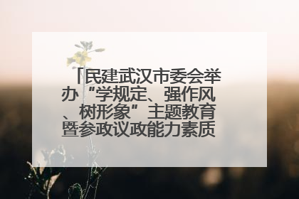 民建武汉市委会举办“学规定、强作风、树形象”主题教育暨参政议政能力素质提升培训班