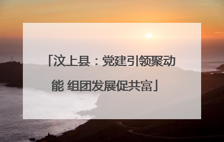 汶上县：党建引领聚动能 组团发展促共富