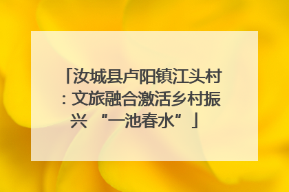 汝城县卢阳镇江头村：文旅融合激活乡村振兴 “一池春水”