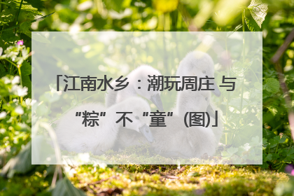 江南水乡：潮玩周庄 与“粽”不“童”(图)