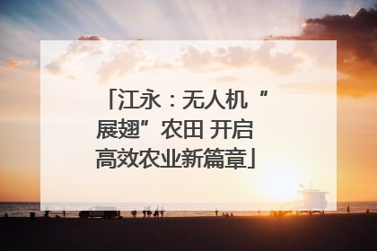 江永：无人机“展翅”农田 开启高效农业新篇章