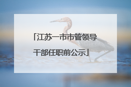 江苏一市市管领导干部任职前公示